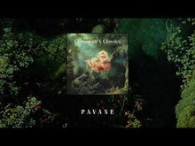 Load and play video in Gallery viewer, Pavane - Gabriel Fauré reworked by Javi Lobe